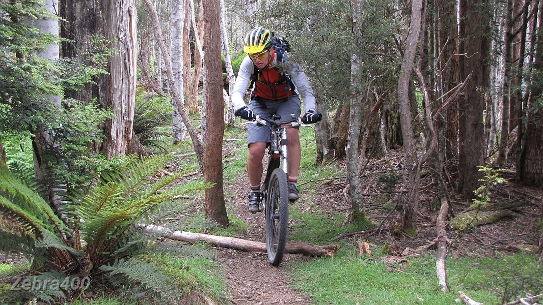 26-Some great MTBing around Lake Rowellan.JPG